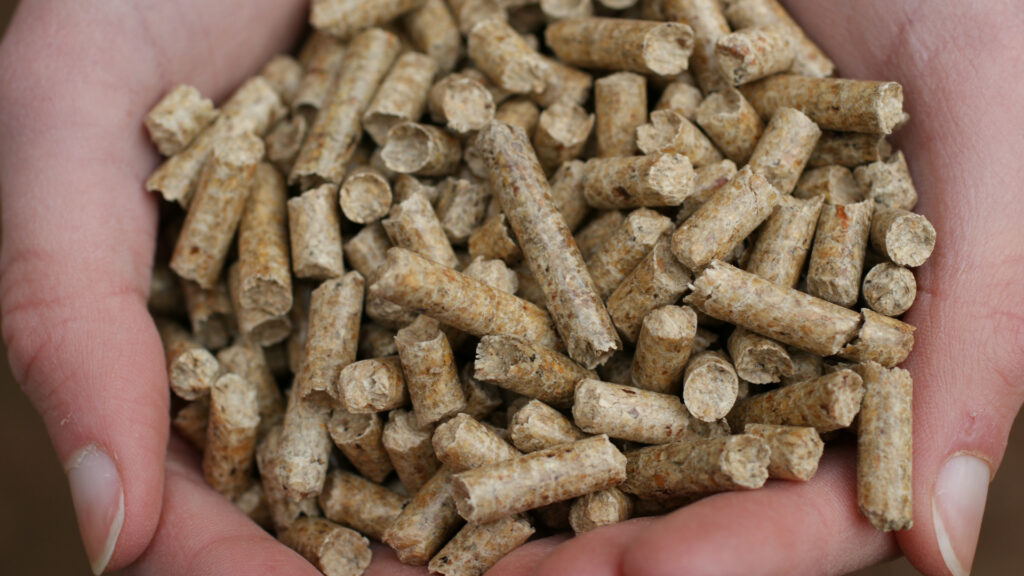 Two hands cup a pile of wood pellets