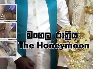 HD Videos, Sinhala, Homemade, Sri Lankan