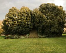The Garden Mound