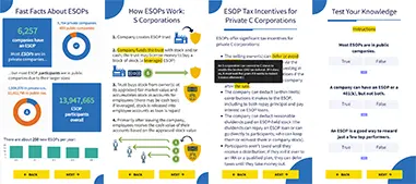 An Interactive Introduction to ESOPs