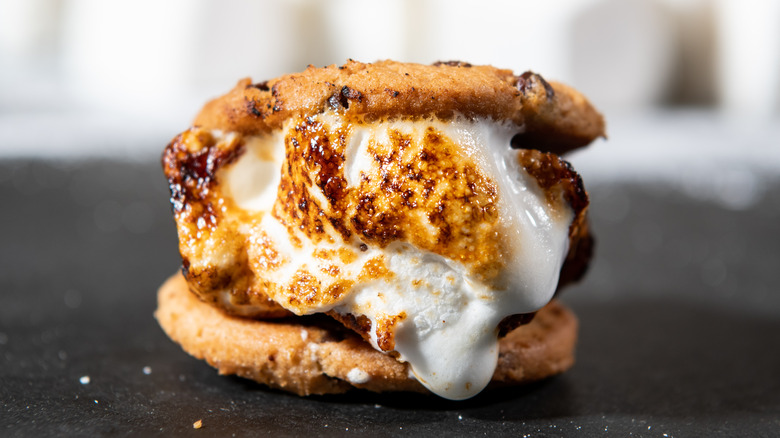 Chocolate chip cookie s'mores