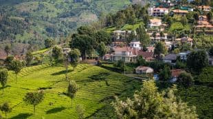 Real Estate Hotspot: How Coonoor has emerged as a southern rival to the west's Goa & Alibaug and Mussoorie in the North
