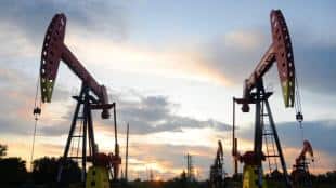 russia, crude oil, commodities, crude oil supply, hardeep singh puri