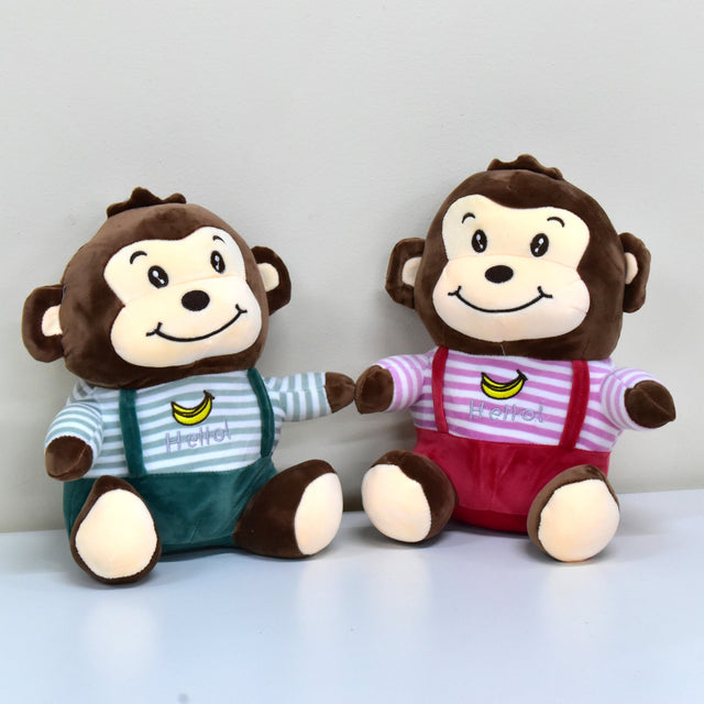 Twin Baby Monkey