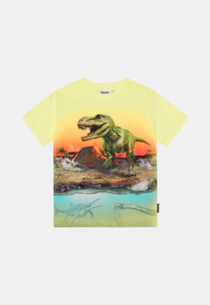 Molo T-Shirt ‘Riley – Volcano Dino’ (159259)