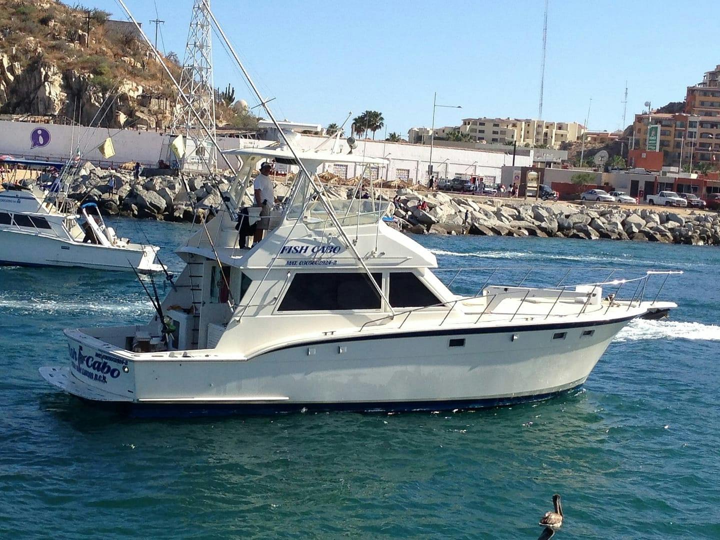 43ft Fish Cabo fishing charter