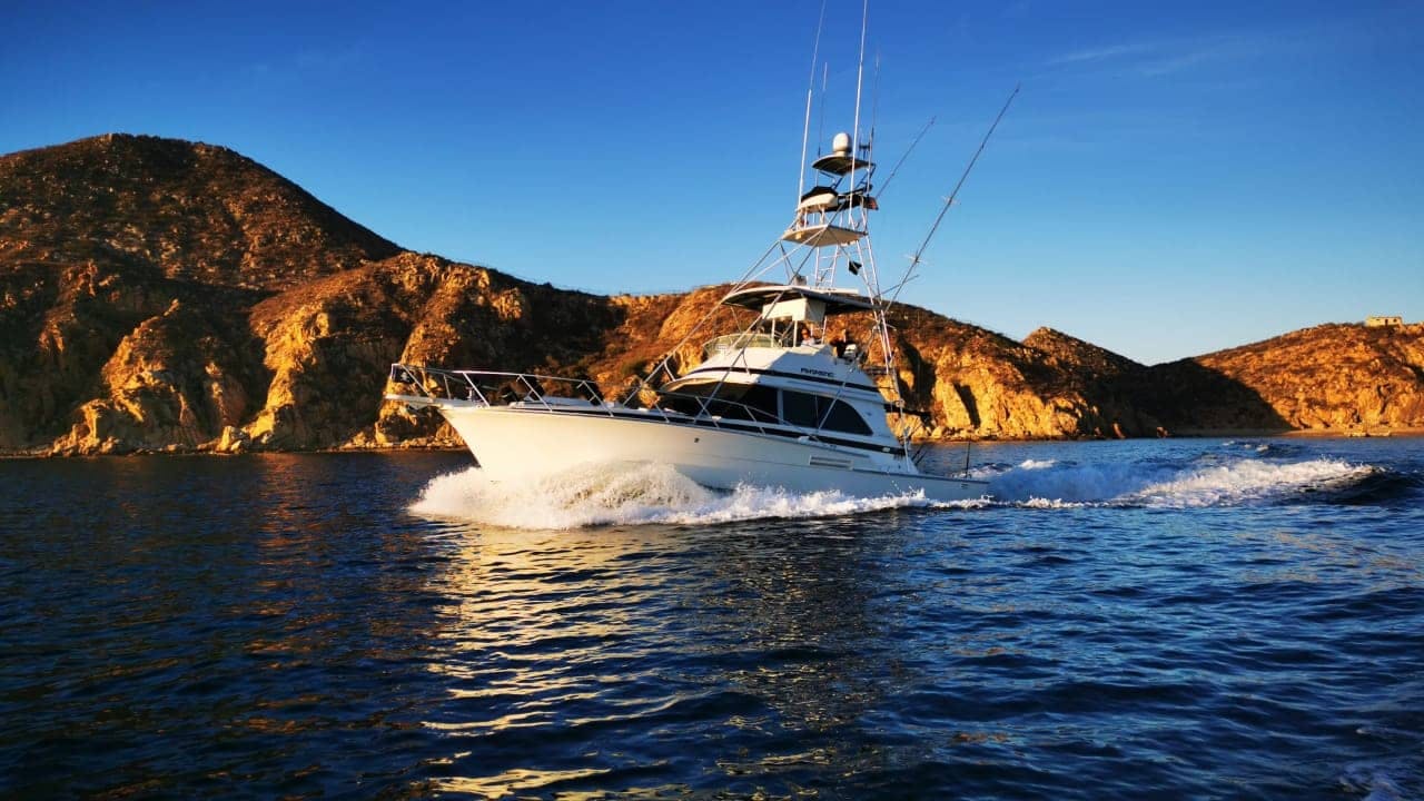 50ft Fintastic fishing charter