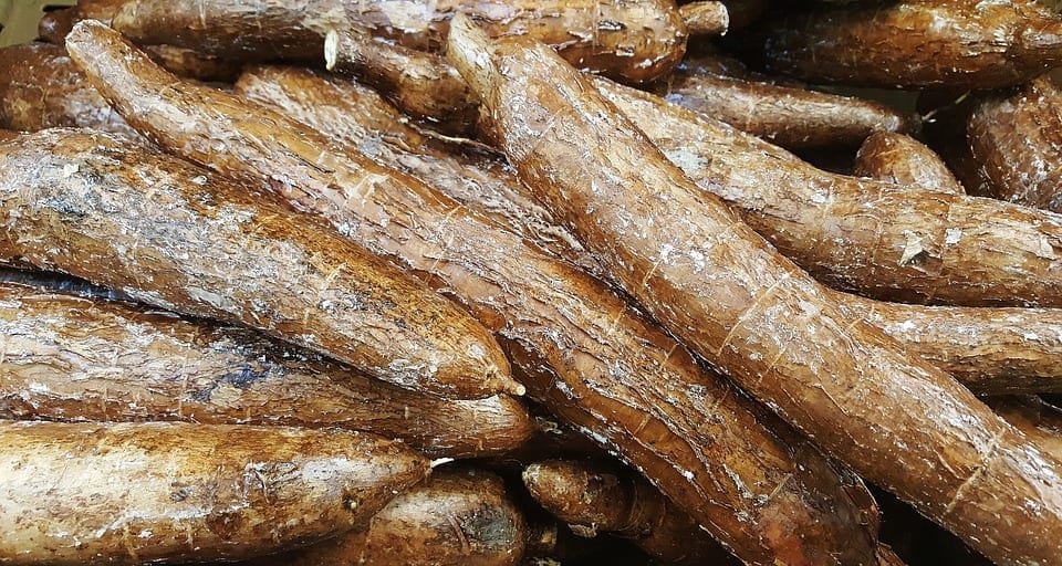 Cassava roots.