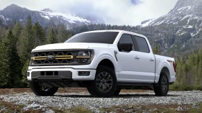The 2024 Ford F-150 parked in gravel
