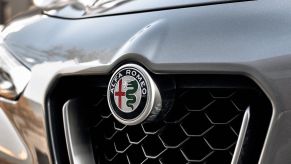 Alfa Romeo logo above the grille on a silver gray cr.