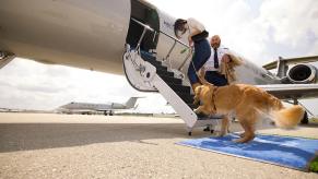 A woman leads a golden retriever up the steps to a Gulfstream V plane for a Bark Airlines flight.