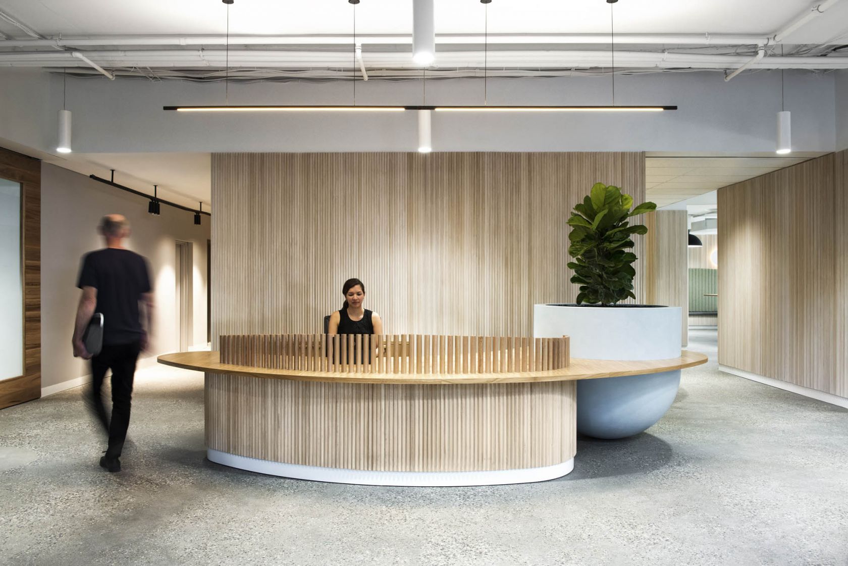 Office Fitouts