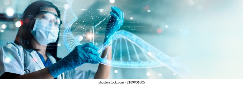 Scientists are experimenting and research with molecule model, DNA, Human Biology, Genetic research, Science with molecules and atoms in the laboratory, Medical science and biotechnology. Stock Photo