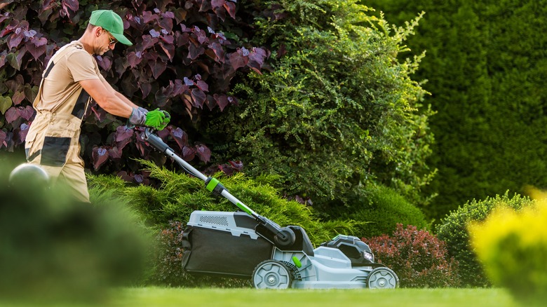 Man using push mower in garden
