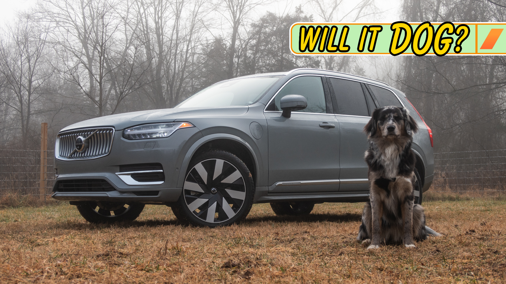 2024 Volvo XC90 Recharge: Will It Dog?