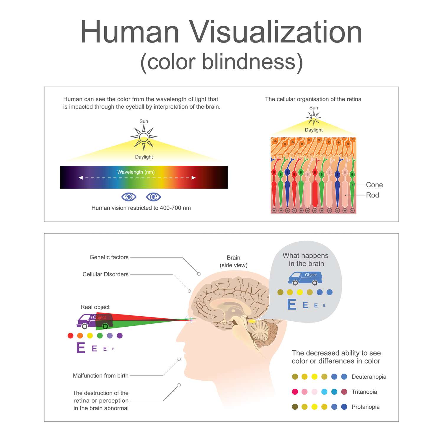 How we see color diagrams