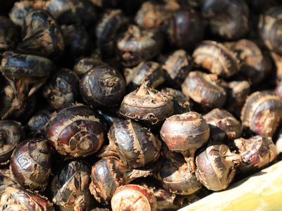 Pile of water chestnuts for sale in a market