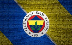 Icon for Fenerbahçe SK