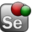 Icon for Selenium Page Object Generator
