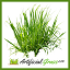 Icon for Artifical Grass