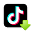 Preview of Video Downloader For Tiktok