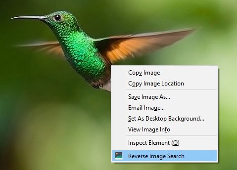 Right click on an image to reverse search it