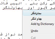 Urdu SpellChecker ScreenShot