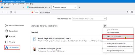 Installing the dictionary on Firefox (2023-07-28)