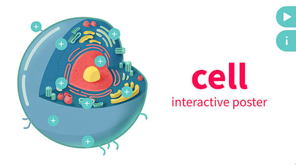 Interactive Interactive cell poster template