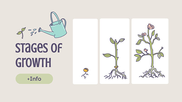 Interactive Plants stages of growth template