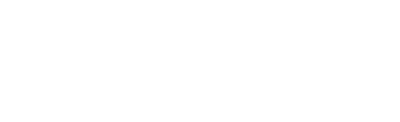 Logo of Flip in white