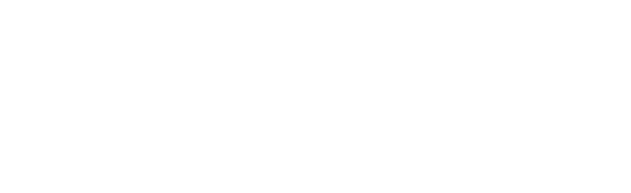 Xenon organization logo