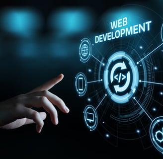 blackwhiteseo web development