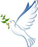 Dove of Peace, A Course in Miracles