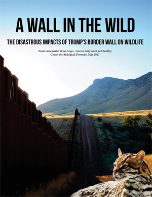 A Wall in the Wild, report cover
