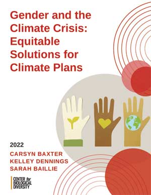 Gender and the Climate Crisis: Equitable Solutions for Climate Plan