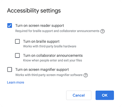 The accessibility settings dialog showing screen reader, braille, and screen magnifier support options.