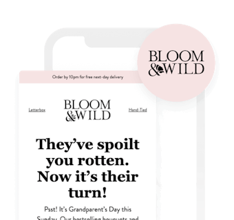 Bloom & Wild Quickly Creates Personalized Email Campaigns With Braze Content Blocks