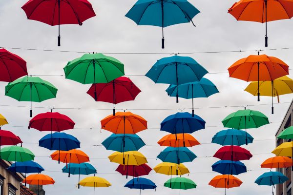 umbrella,daytime,photograph,green,white,light
