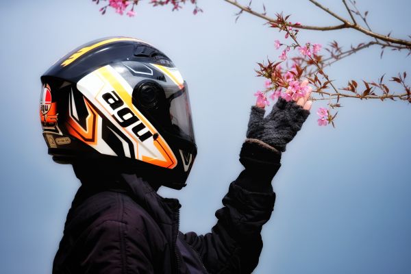 flower,outerwear,helmet,sports equipment,sports gear,motorcycle helmet