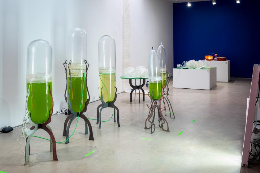 An installation by La Jolla resident and UC San Diego professor Pinar Yoldas that is currently on view at the Insitute of Contemporary Art San Diego.