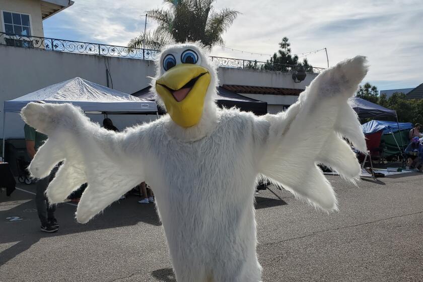 Bird Rock Elementary School mascot Rocky the Pelican makes an appearance at BirdStock on Dec. 9.