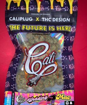 : 420 marijuana delivery, buy Amsterdam cannabis, buy cali bud, buy cali bud online, BUY CALI BUD OR NO BUD ONLINE, BUY CALI BUD OR NO BUD WEDDING MAC ONLINE, buy cali exotic bud, buy cartridges, buy cartridges online, buy exotic bud, BUY WEDDING MAC CALI BUD OR NO BUD ONLINE, buy weed Germany, buy weed in the uk, buy weed in USA, buy weed Italy, buy weed uk, cali bud, cali bud or no bud, CALI BUD OR NO BUD FOR SALE, CALI BUD OR NO BUD NEAR ME, CALI BUD OR NO BUD WEDDING MAC, CALI BUD OR NO BUD WEDDING MAC FOR SALE, CALI BUD OR NO BUD WEDDING MAC NEAR ME, cali plug, cali plug bags, cali plug brand, cali plug bud, CALI PLUG CALI BUD OR NO BUD, cali plug packs, CALI WEDDING MAC, CALI WEDDING MAC STRAIN, doorstep marijuana delivery, exotic cali bud, express weed delivery, indica vs sativa strains, no signature marijuana delivery, top 10 cali bud, top 10 indica strains 2020, top 10 sativa strains 2020, top 10 weed strains 2020, top strongest cannabis strains 2020, WEDDING MAC CALI BUD OR NO BUD, WEDDING MAC CALI BUD OR NO BUD FOR SALE, WEDDING MAC CALI BUD OR NO BUD NEAR ME, WEDDING MAC STRAIN, WEDDING MAC WEED STRAIN