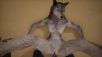 yiff, anal, furry, pussy