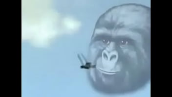 gorilla is god, lawnmower is god
