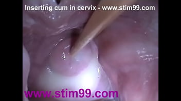 creampie, uterus, closeup, cervix