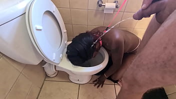 toilet licking, piss, blowjob, cleanup