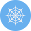 Spider web icon 64x64