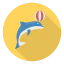 Dolphin icon 64x64