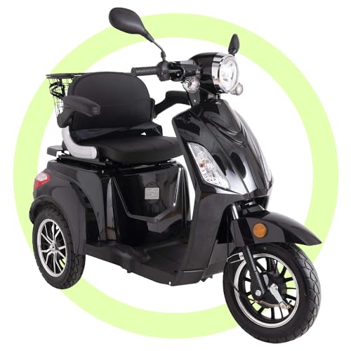 ZT500 Electric Scooter with Accessory Package